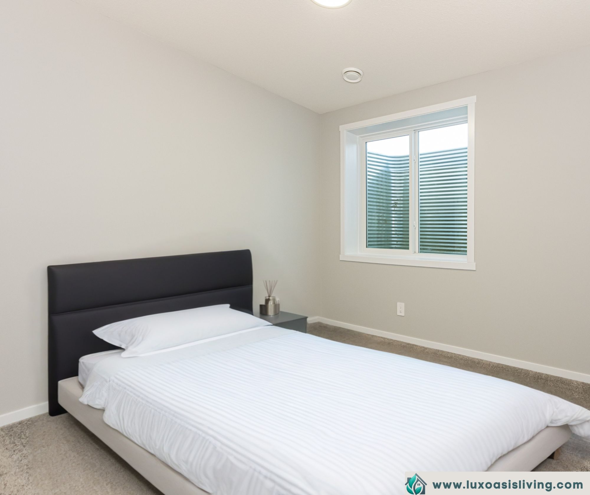Air-Conditioned Edgemont Basement Suite with Private Entrance & In-Suite Laundry